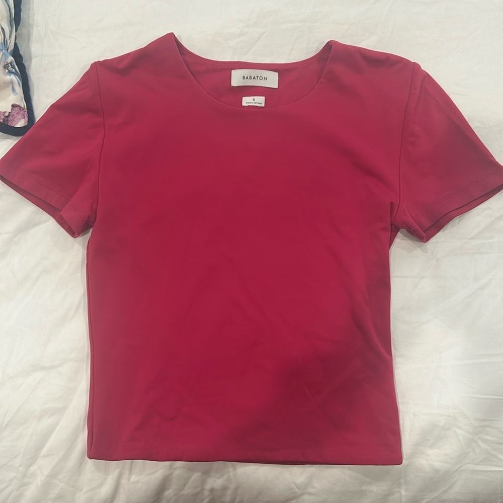Aritzia Babaton Tee